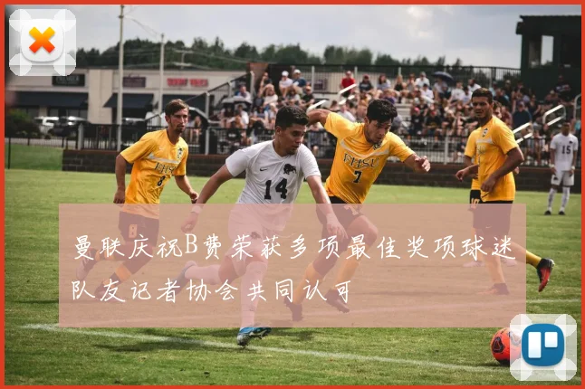曼联庆祝B费荣获多项最佳奖项球迷队友记者协会共同认可