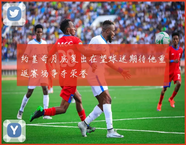 约基奇月底复出在望球迷期待他重返赛场争夺荣誉
