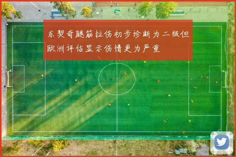 东契奇腿筋拉伤初步诊断为二级但欧洲评估显示伤情更为严重