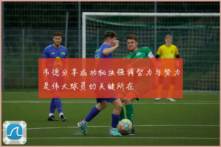 韦德分享成功秘诀强调智力与努力是伟大球员的关键所在