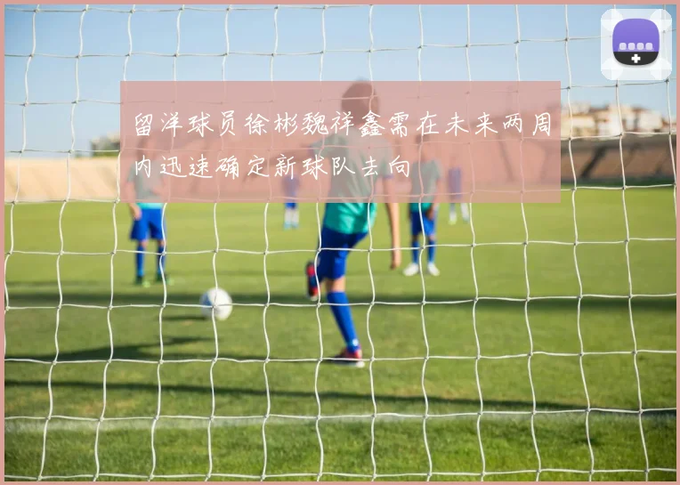 留洋球员徐彬魏祥鑫需在未来两周内迅速确定新球队去向